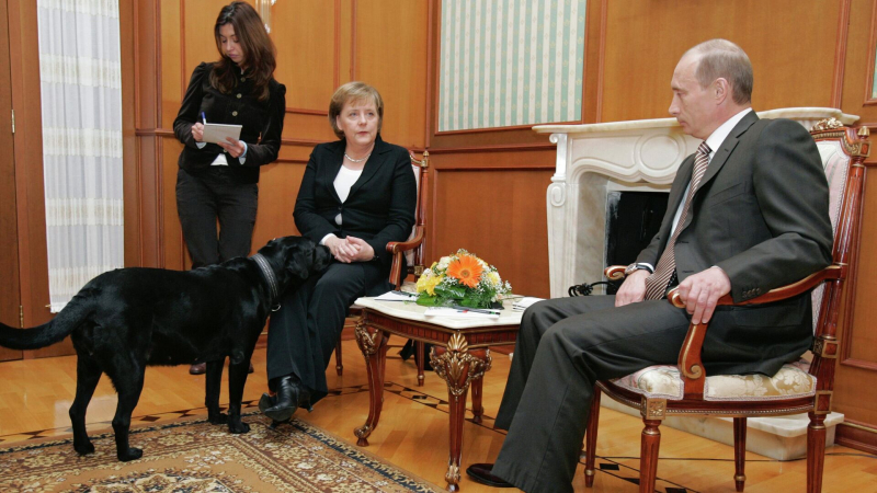 Песков прокомментировал высказывания в мемуарах Меркель о Путине