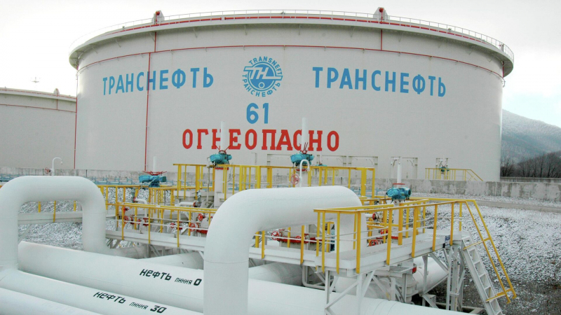 «Транснефть»: нефть по «Дружбе» в сторону Германии качают строго по графику