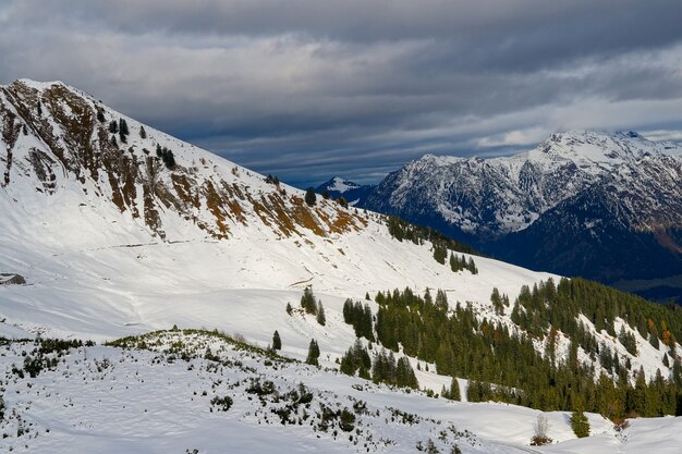 Разработка Bad North Eggs: стратегические подходы